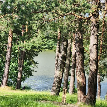 Calm Garden Near Lakes * Vilnius