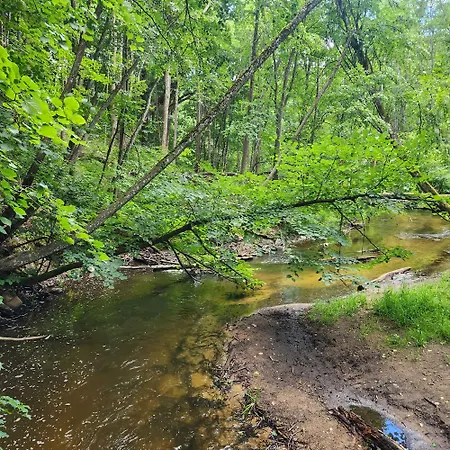 Апартаменты Calm Garden Near Lakes Вильнюс