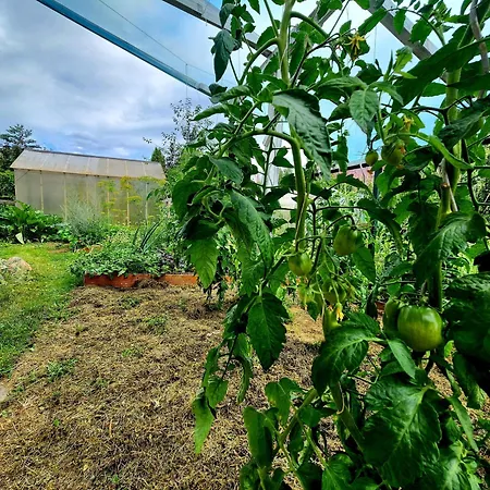 شقة Calm Garden Near Lakes *