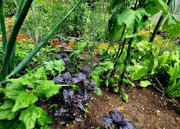 Calm Garden Near Lakes Lägenhet Vilnius