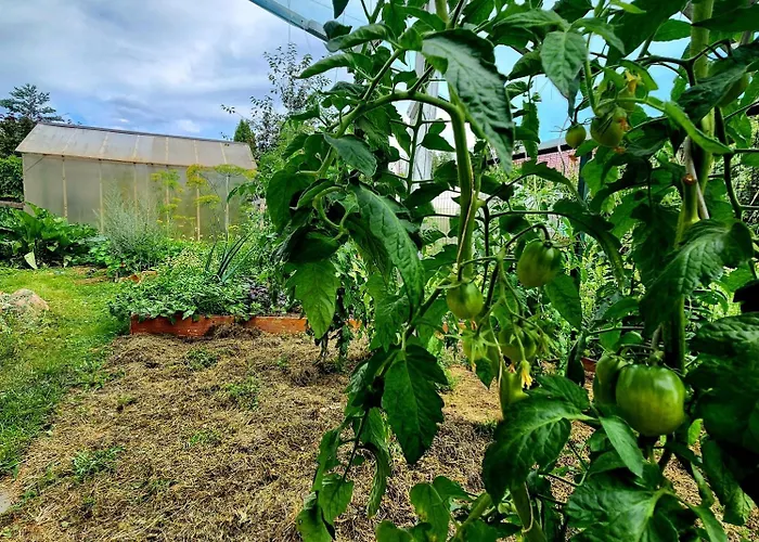Lägenhet Calm Garden Near Lakes *