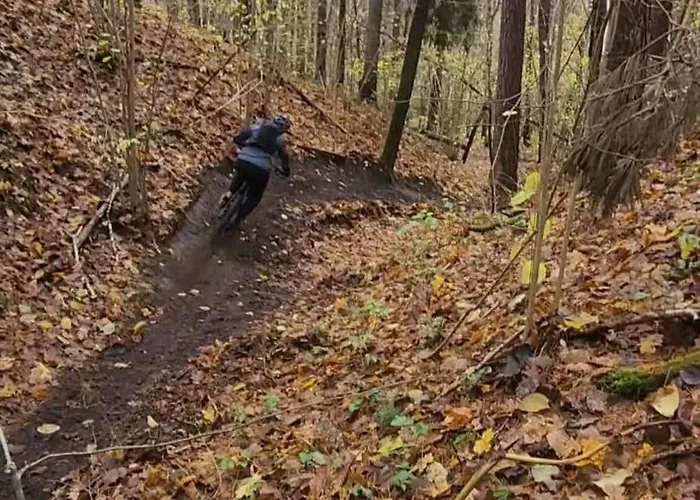 Апартаменты Calm Garden Near Lakes