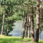 Calm Garden Near Lakes * Vilnius