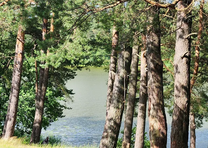 Calm Garden Near Lakes * ヴィリニュス